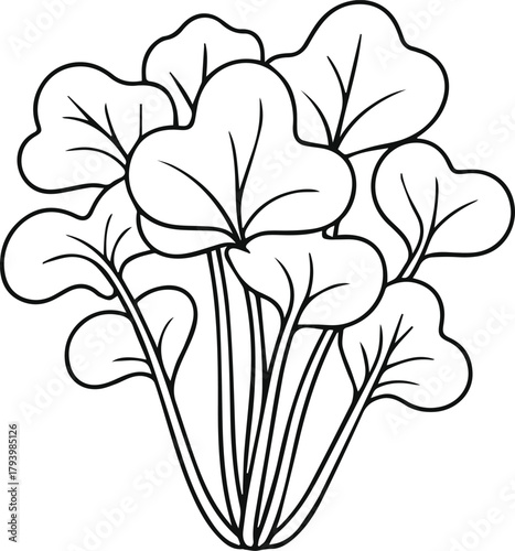 Watercress bunch line art vector illustration. Fresh vegetable outline icon group isolated on white. Herb food ingredient sketch.