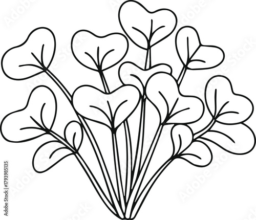Watercress bunch line art vector illustration. Fresh vegetable outline icon group isolated on white. Herb food ingredient sketch.