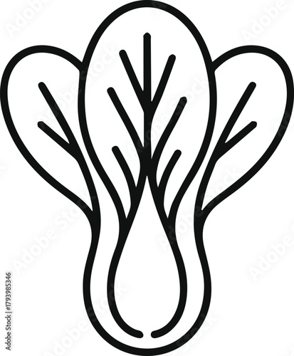 Bok choy line art vector illustration sketch. Simple vegetable outline icon isolated on white. Chinese cabbage food ingredient symbol.