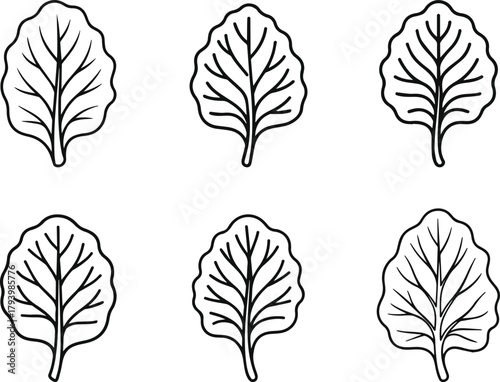 Collard green leaf outline icons set vector line art. Simple vegetable collection.
