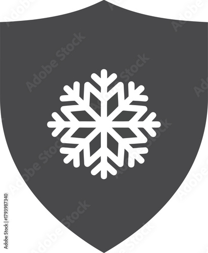 Shield icon snowflake winter cold protection security safety symbol graphic vector