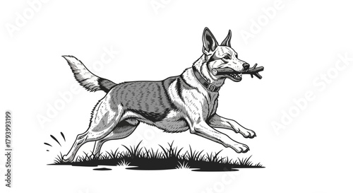 Illustration of a dog running with a stick in its mouth, set against a white background.