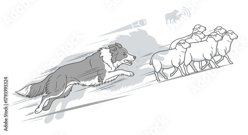 Illustration of a border collie herding sheep on a hillside, running fast.