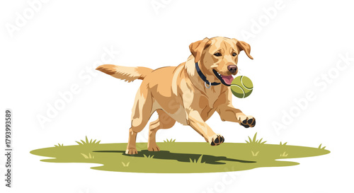 An energetic yellow Labrador Retriever dog joyfully runs across green grass, chasing a bright green tennis ball.