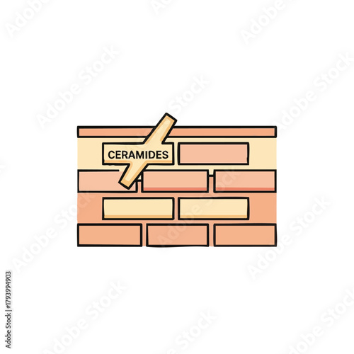 This illustration shows a visual representation of ceramides in the skin barrier, highlighting their role in maintaining skin health and hydration.