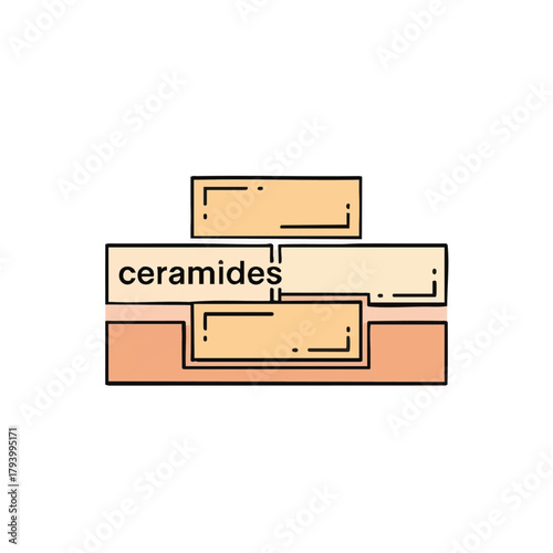 This illustration depicts the role of ceramides in skin health, showing how they help to maintain the skin's barrier and prevent moisture loss effectively.