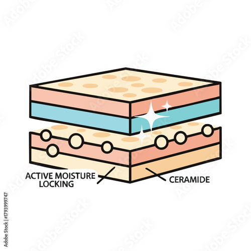 A diagram illustrates how active moisture locking and ceramide work to hydrate and protect the skin, showing the layers and processes involved in skincare.