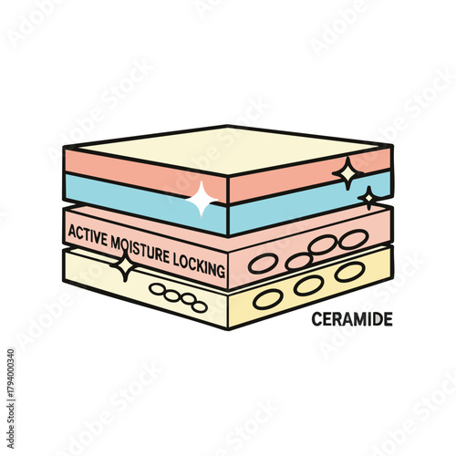 This illustration depicts the layers of skin with active moisture locking and ceramide, highlighting the importance of skincare and hydration for healthy skin.
