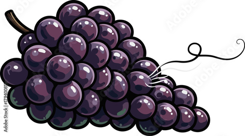 lush purple grapes adorned with elegant tendrils a fresh organic harvest, isolated on transparent background