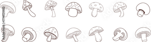 Hand-drawn mushroom pattern in vintage sketch style. Botanical seamless border of assorted fungi caps and stems. Rustic monochrome illustration for nature designs and organic themes.