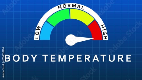 Body Temperature Gauge Indicating Normal Range With Low and High Segments on Blue Grid Background meter