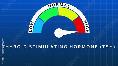 Thyroid Stimulating Hormone TSH Gauge Meter Indicating Normal Range With Blue Grid Background endocrine