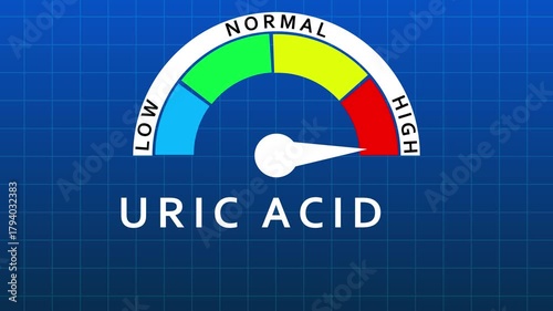 Uric Acid Level Gauge Showing Normal Range on Blue Grid Background meter indicator