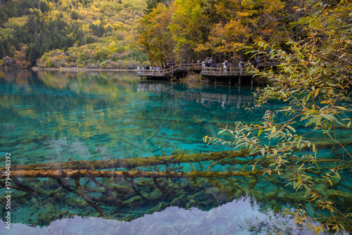 Five Flower Lake in autumn is famous for its beautiful scenery of the lake, mountains and surrounding scenery. It is located in Jiuzhaigou National Park, China