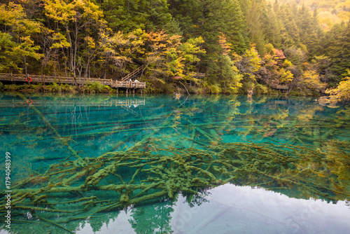 Five Flower Lake in autumn is famous for its beautiful scenery of the lake, mountains and surrounding scenery. It is located in Jiuzhaigou National Park, China