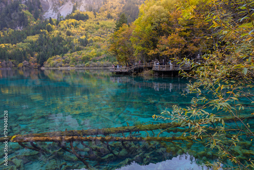 Five Flower Lake in autumn is famous for its beautiful scenery of the lake, mountains and surrounding scenery. It is located in Jiuzhaigou National Park, China