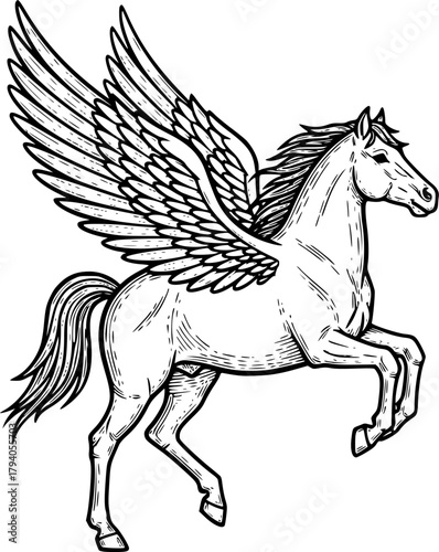 Pegasus sketch engraving black and white outline.