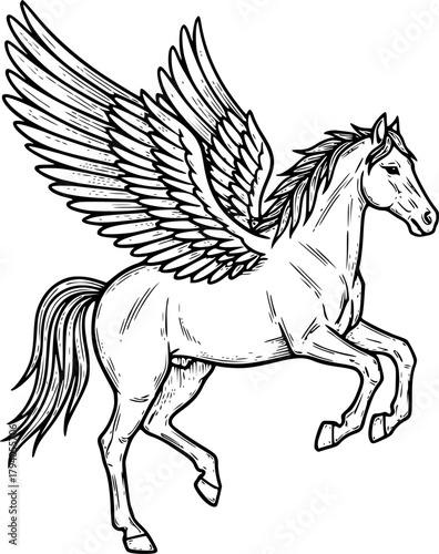 Pegasus sketch engraving black and white outline.