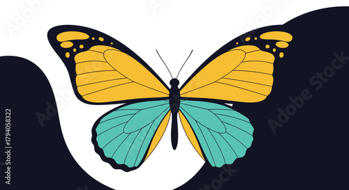 A vibrant graphic illustration of a butterfly with yellow and teal split wings, set against a dynamic dual-tone white and dark blue background.