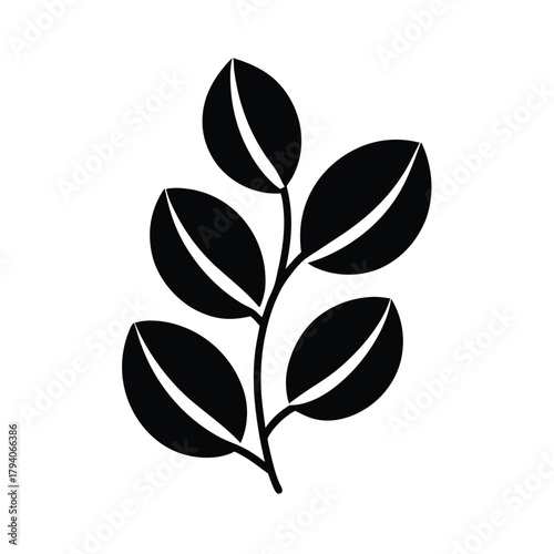 Coffee Bean Branch Outline Vector Illustration