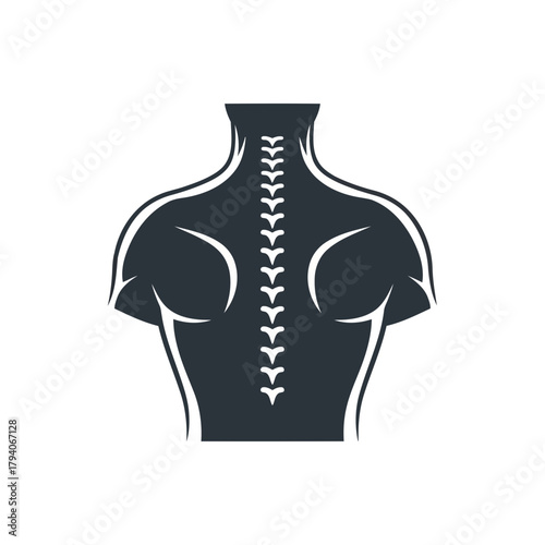 Stylized illustration of a human spine and upper torso, symbolizing health and anatomy