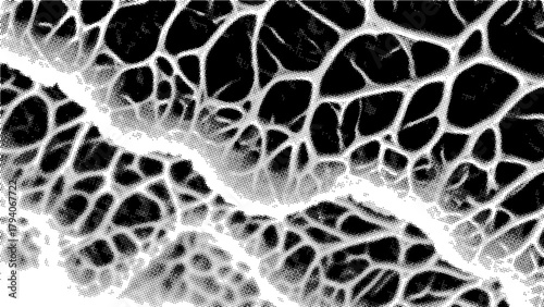 ABSTRACT HALFTONE BACKGROUND_32