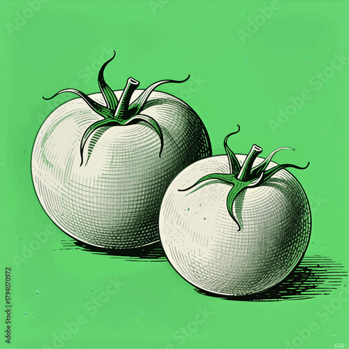 Vintage style tomatoes illustration, detailed design, isolated