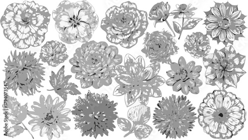 Elegant dahlia floral pattern in grayscale, perfect for sophisticated designs and modern botanical themes