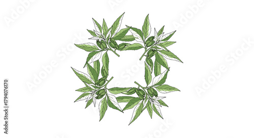 Hand-drawn watercolor botanical square frame of green leaves with white tips and small green berries, isolated on a clean white background.