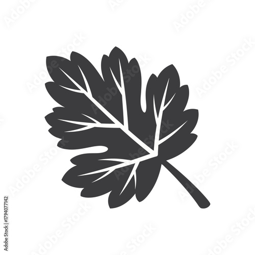 Stylized silhouette of a parsley leaf with stem