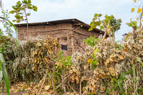 Typical African mud and daub house with one window surrounded by tree branches and foliage