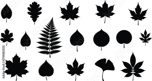 Black leaf silhouette collection featuring various tree and plant species for nature, botanical, and eco design vector illustrations.