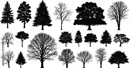 Tree silhouette vector, botanical shape collection, seasonal foliage icons, forest landscape elements, nature graphic set, cad drawing flat vector illustration