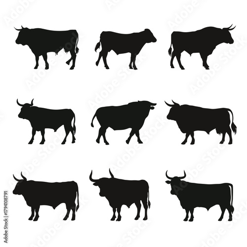 set of cows