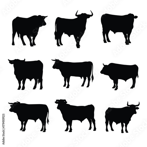 set of cows