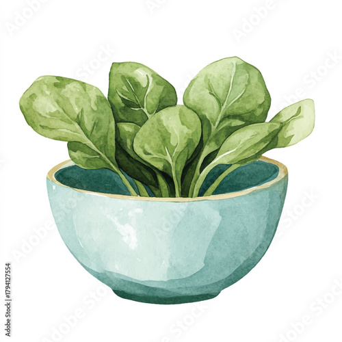 Fresh spinach leaves in a light blue ceramic bowl watercolor illustration.