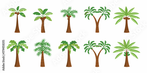 Collection of diverse cartoon palm trees with coconuts and varied leaf shapes on a white background