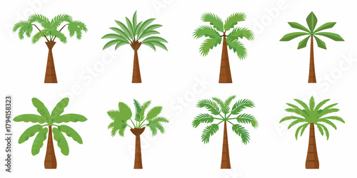 Collection of eight diverse flat design palm trees in various shapes and sizes