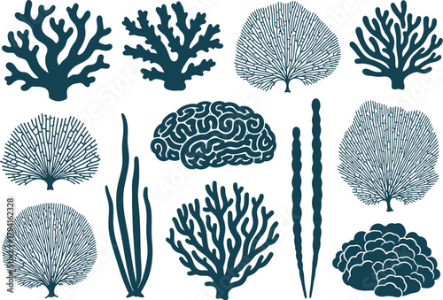 Coastal Coral Reef Teal Silhouette Vector Set