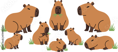 Cartoon capybara illustration, cute animal vector, capybara poses clipart, grass eating design, wildlife character set, playful rodent drawing, nature theme, friendly style