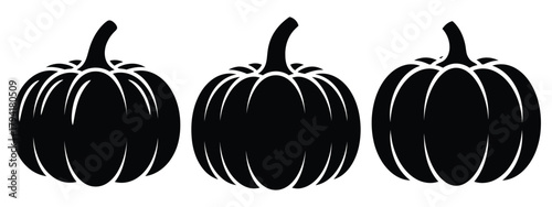 pumpkin minimal flat icon set, black color and white background