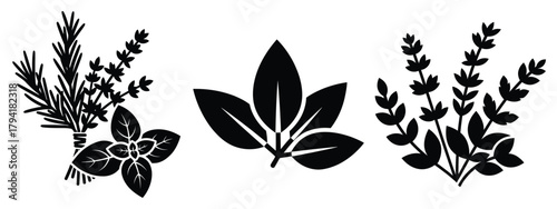 herbs minimal flat icon set, black color and white background