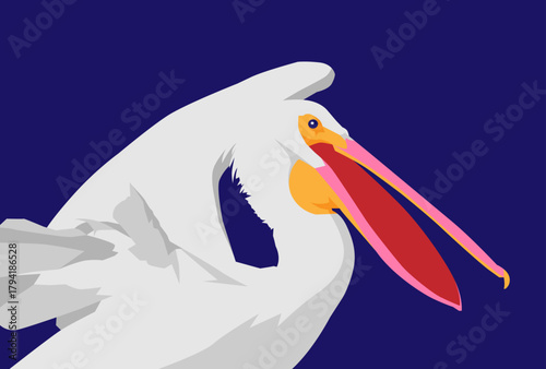 An amazing close-up of an American white pelican. Bird illustration graphic design.