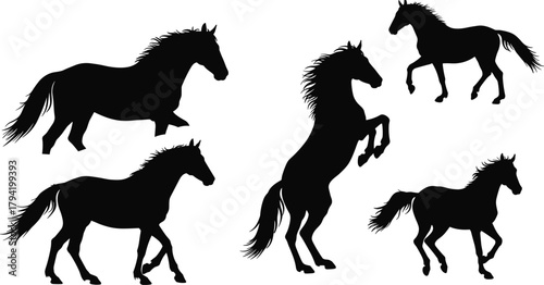 Wild horse silhouettes in various running and rearing poses, black vector illustration, equine motion design, freedom, strength, and power concept art