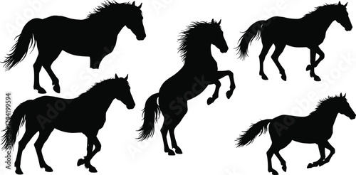 Wild horse silhouettes running and rearing in motion, black vector illustration, animal strength, equine energy, freedom and nature wildlife art design