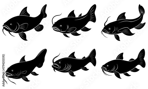 Elegant catfish silhouette collection, a dynamic grouping of river fish illustrations for aquatic life education and nature themed designs, originally vector art
