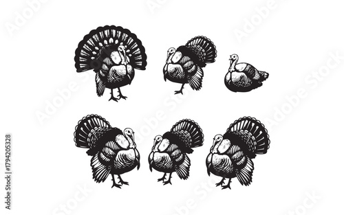 Chicken and Rooster Farm Animal Silhouettes Bundle: Poultry, Chicks, and Egg Vector Set