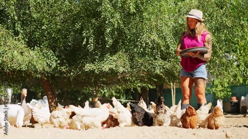 Tattooed woman feeding chickens on a farm in a sunny day