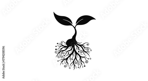Symbol of growth and new beginnings, a sprouting seedling with intricate roots on a clean background