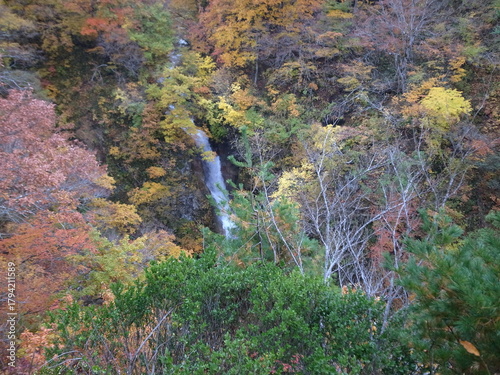 蛇淵の滝  秋山郷